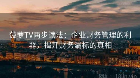 菠萝TV两步读法：企业财务管理的利器，揭开财务漏标的真相