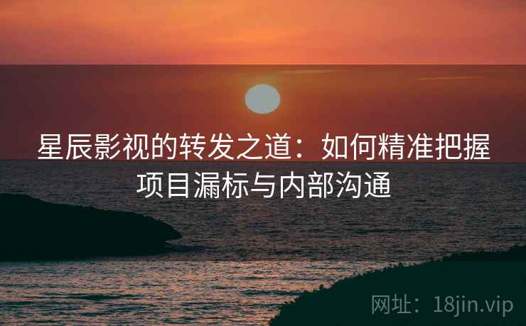 星辰影视的转发之道：如何精准把握项目漏标与内部沟通