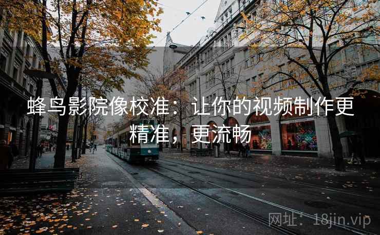 蜂鸟影院像校准：让你的视频制作更精准，更流畅