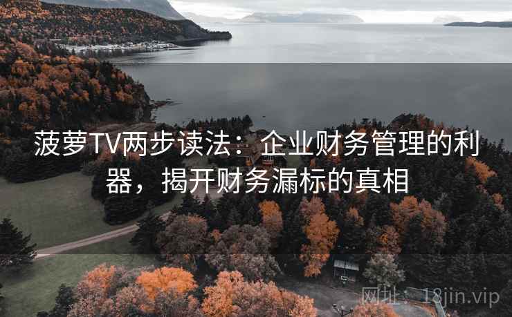 菠萝TV两步读法:企业财务管理的利器,揭开财务漏标的真相 菠萝TV两步读法:企业财务管理的利器,揭开财务漏标的真相