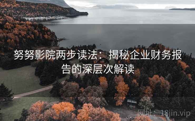 努努影院两步读法:揭秘企业财务报告的深层次解读 努努影院两步读法:揭秘企业财务报告的深层次解读